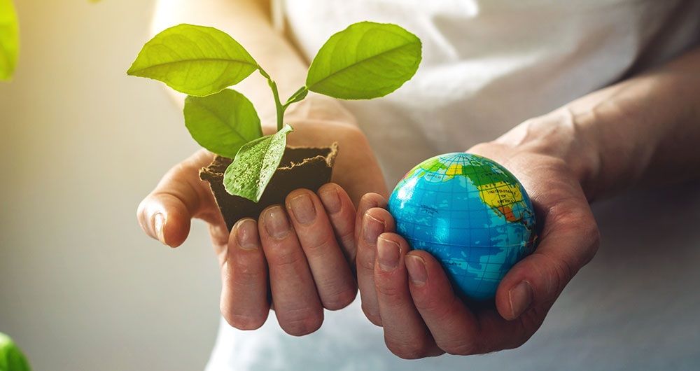 Foto de la asignatura Economía Circular